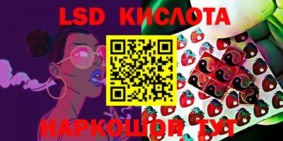 ALPHA-PVP Партизанск