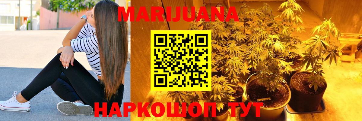 Бошки марихуана конопля  Каннабис планчик  Марихуана Amnesia  Вход с VPN  Белогорск  МАРИХУАНА конопля 